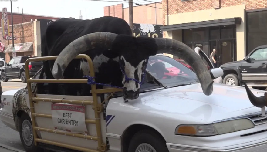 Κυκλοφορούσε σε αυτοκινητόδρομο της Νεμπράσκα με συνοδηγό έναν πελώριο... ταύρο - Δείτε βίντεο