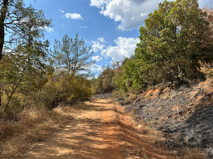Φωτογραφίες: Έρπουσα η φωτιά στον μικρό πυρήνα της Δαδιάς