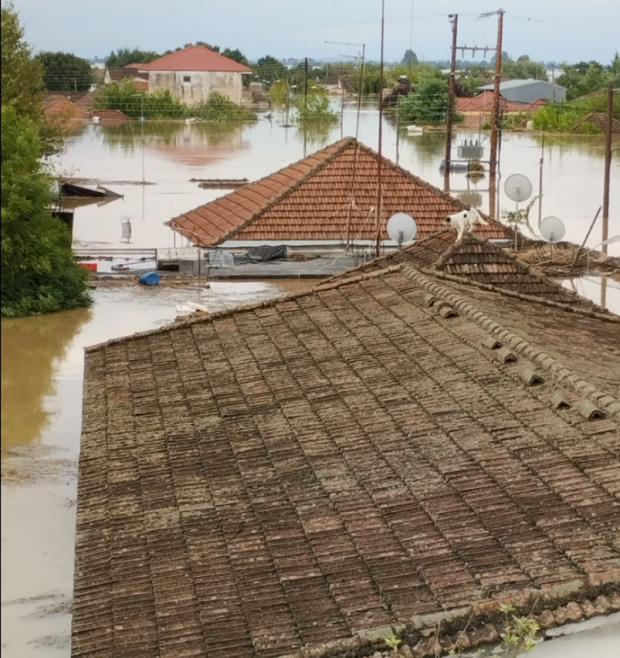 Κακοκαιρία Daniel: Δραματική έκκληση από Παλαμά - «Όλο το χωριό εξαφανίστηκε, μόνο τα κεραμίδια φαίνονται»
