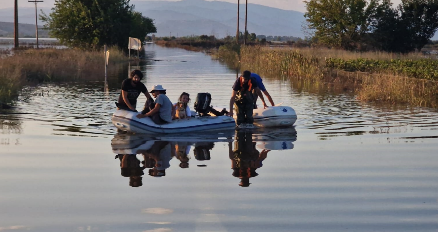 Κακοκαιρία Daniel: Εθελοντές διέσωσαν ένα σκυλάκι στη Μεταμόρφωση της Καρδίτσας
