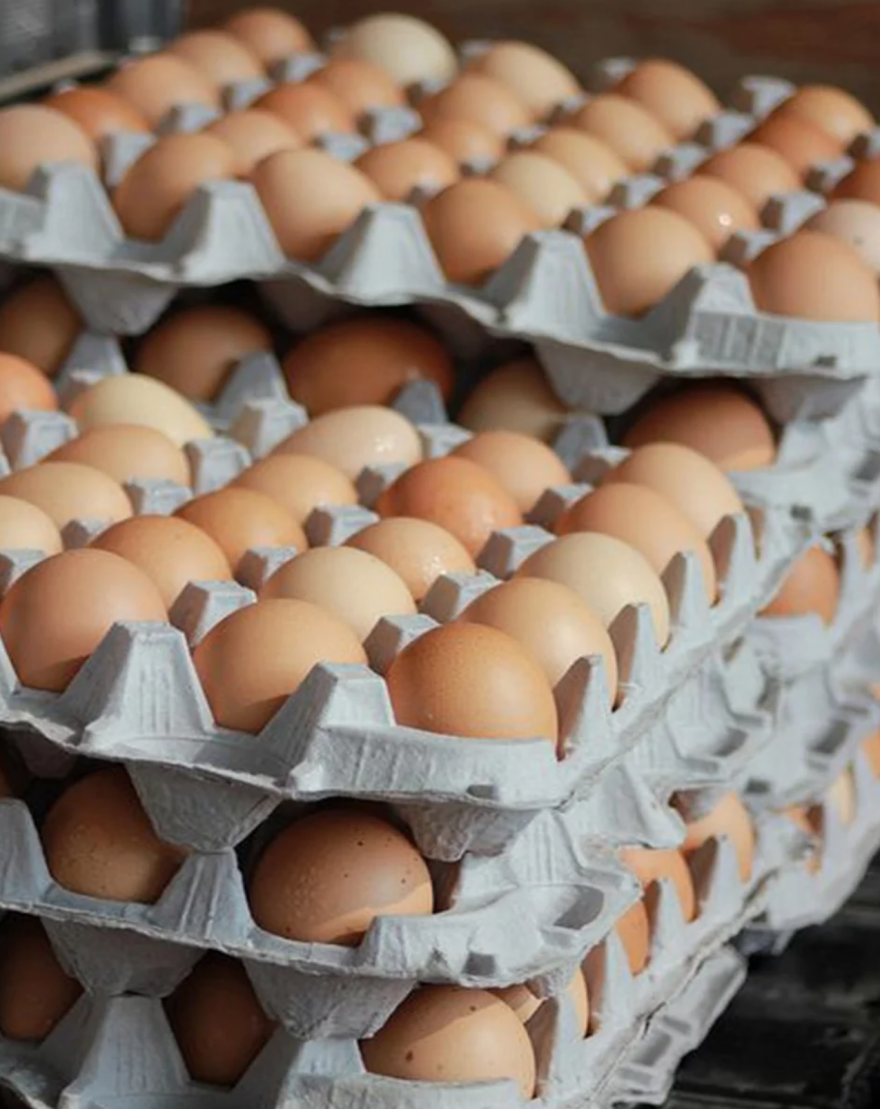 Το Begg for Egg τα... σπάει: Το πρωτότυπο street food μαγαζί στο Κέντρο που φτιάχνει τα πάντα με αυγό