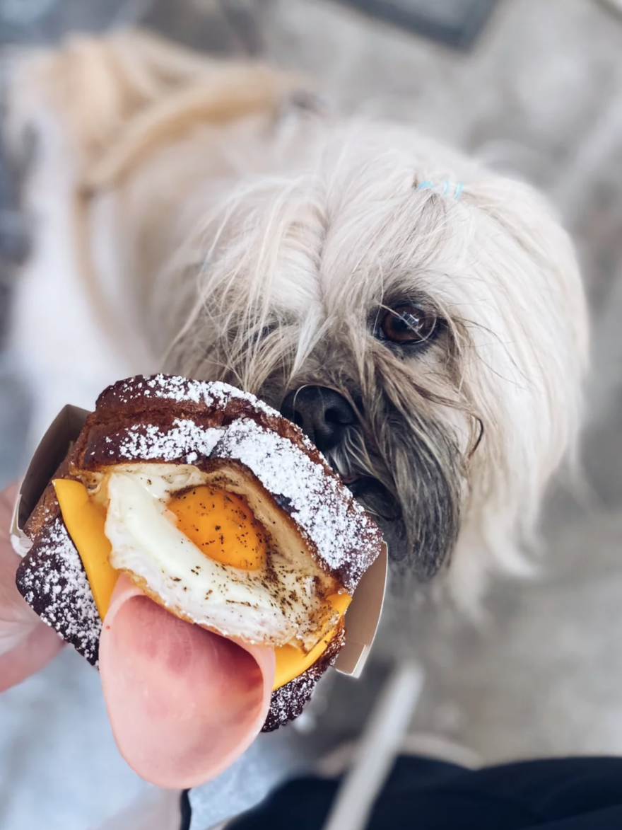 Το Begg for Egg τα... σπάει: Το πρωτότυπο street food μαγαζί στο Κέντρο που φτιάχνει τα πάντα με αυγό