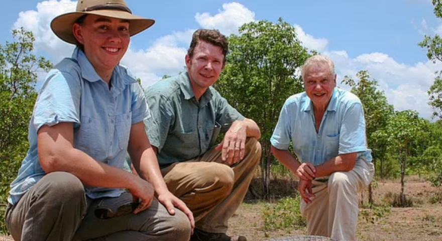 Αυστραλία: Διακεκριμένος ειδικός στους κροκόδειλους βασάνισε και κακοποίησε σεξουαλικά πάνω από 40 ζώα