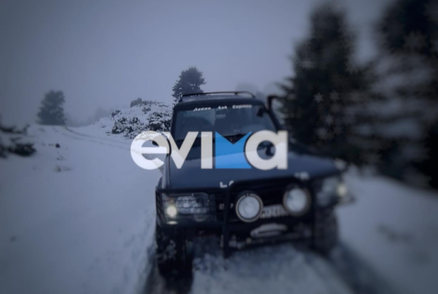 Δείτε φωτογραφίες από τα χιόνια στην Εύβοια - Το έστρωσε στα ορεινά της Στενής