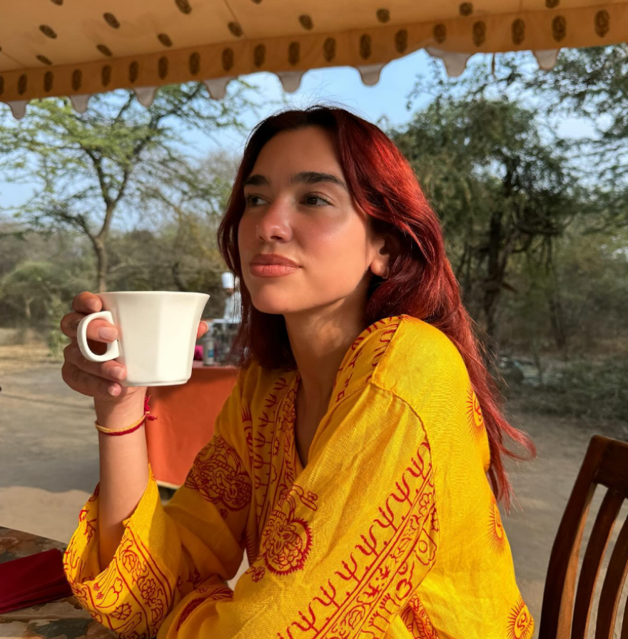 Ντούα Λίπα: Χαμογελαστή δίπλα σε έναν ελέφαντα η ποπ σταρ - Οι φωτογραφίες της από την Ινδία