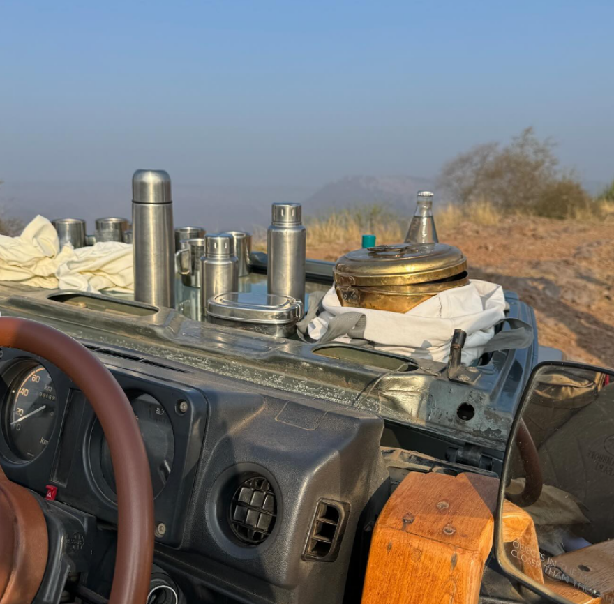 Ντούα Λίπα: Χαμογελαστή δίπλα σε έναν ελέφαντα η ποπ σταρ - Οι φωτογραφίες της από την Ινδία