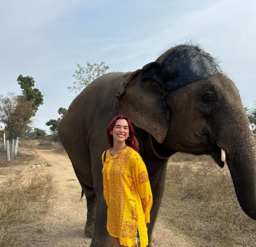 Ντούα Λίπα: Χαμογελαστή δίπλα σε έναν ελέφαντα η ποπ σταρ - Οι φωτογραφίες της από την Ινδία