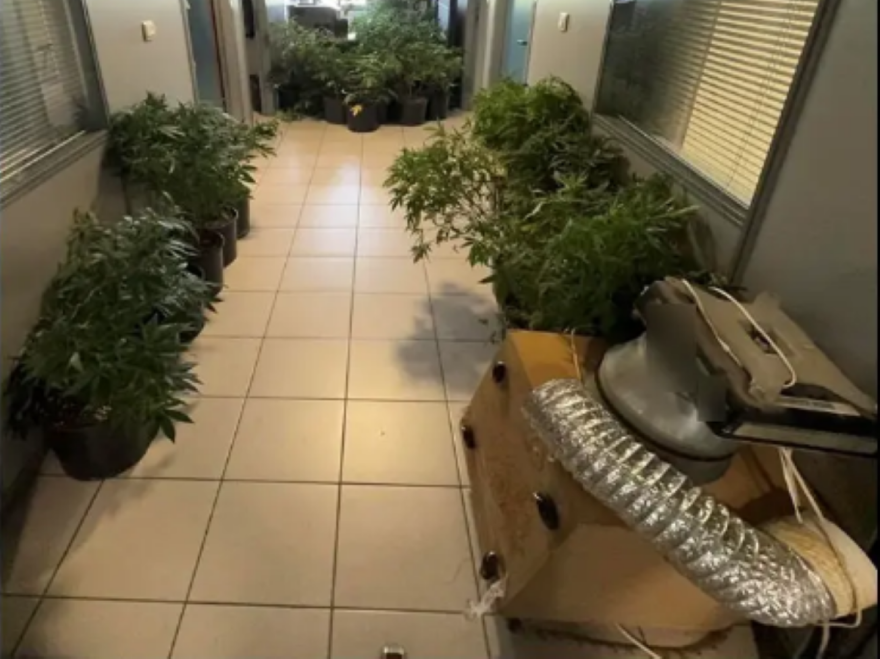 Έστησε εργαστήρια υδροπονικής κάνναβης σε σπίτι, τροχόσπιτο και κοντέινερ