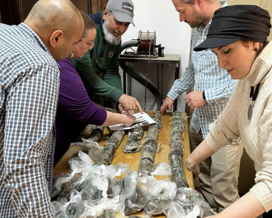 Πυραμίδες της Αιγύπτου: Επιστήμονες πιστεύουν ότι έλυσαν τον γρίφο του τρόπου κατασκευής τους