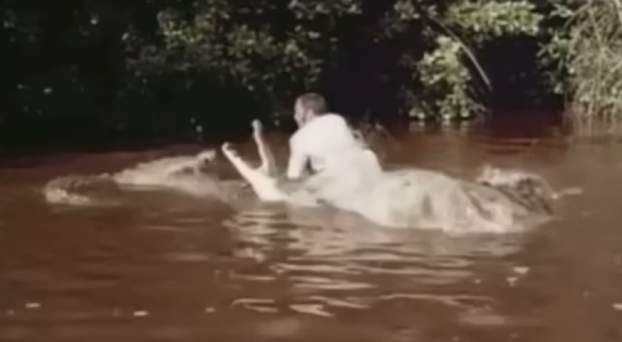 Τζέιμς Μποντ: Τρομακτικό βίντεο αποκαλύπτει την αλήθεια πίσω από τη διάσημη σκηνή με τον κροκόδειλο