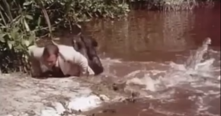 Τζέιμς Μποντ: Τρομακτικό βίντεο αποκαλύπτει την αλήθεια πίσω από τη διάσημη σκηνή με τον κροκόδειλο