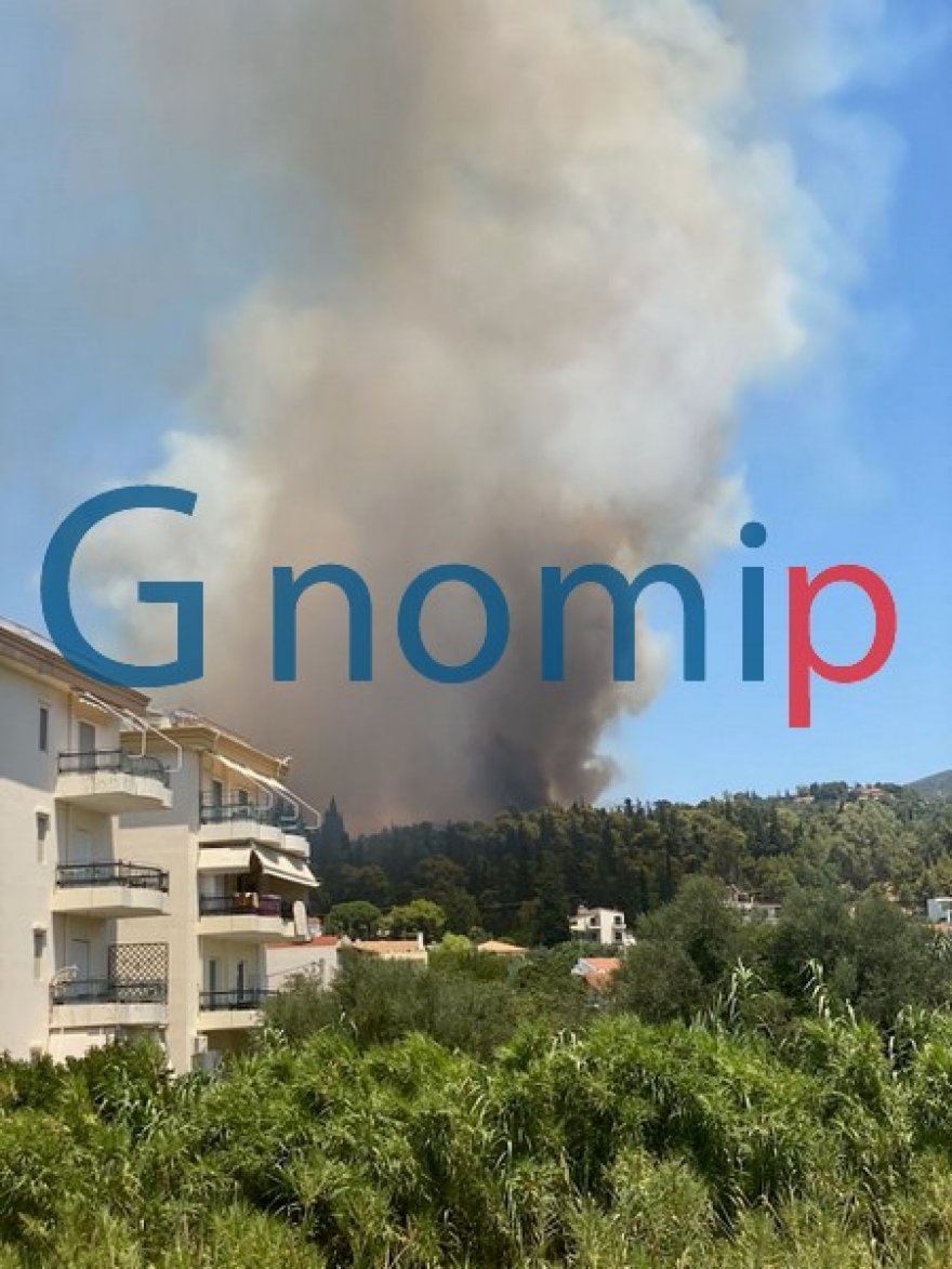 Φωτιά στην Πάτρα: Αστυνομικός παίρνει αγκαλιά ηλικιωμένο και τον απομακρύνει - Δείτε βίντεο