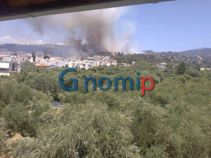 Φωτιά στην Πάτρα: Αστυνομικός παίρνει αγκαλιά ηλικιωμένο και τον απομακρύνει - Δείτε βίντεο