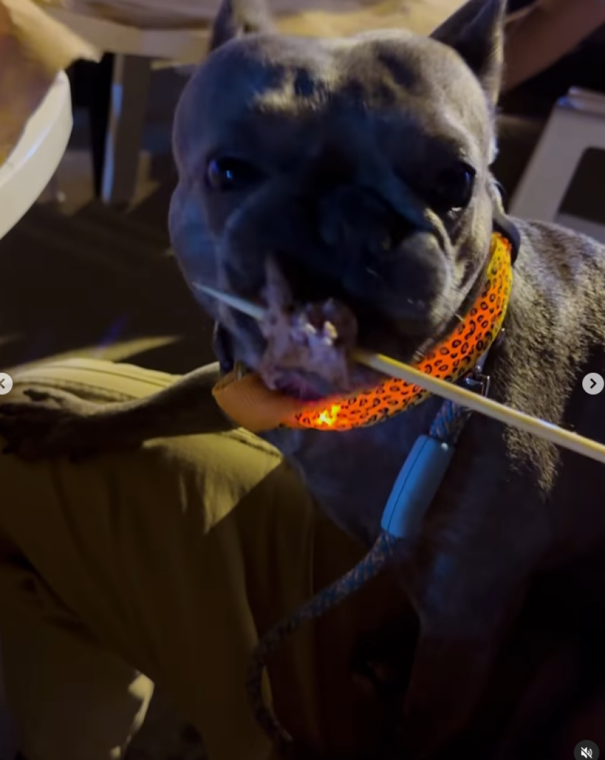 Δανάη Μπάρκα: Φωτογραφίζεται στην εξοχή και αποθεώνει τη Φλώρινα