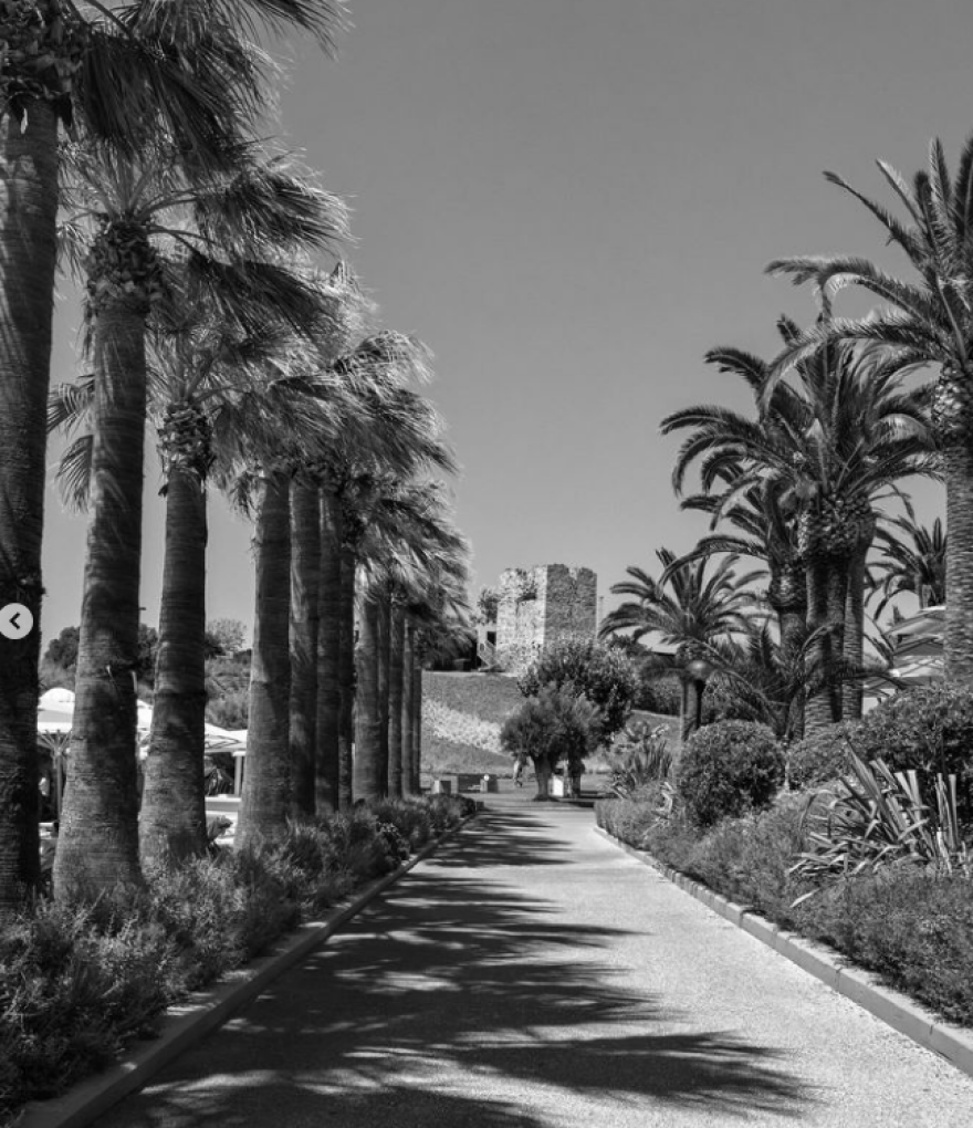 Νίκος Αλιάγας: Φωτογραφίζεται ανάμεσα σε κλαδιά ελιάς στη Χαλκιδική