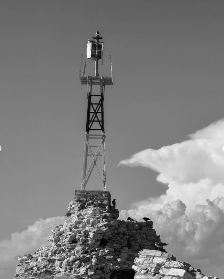 Νίκος Αλιάγας: Φωτογραφίζεται ανάμεσα σε κλαδιά ελιάς στη Χαλκιδική