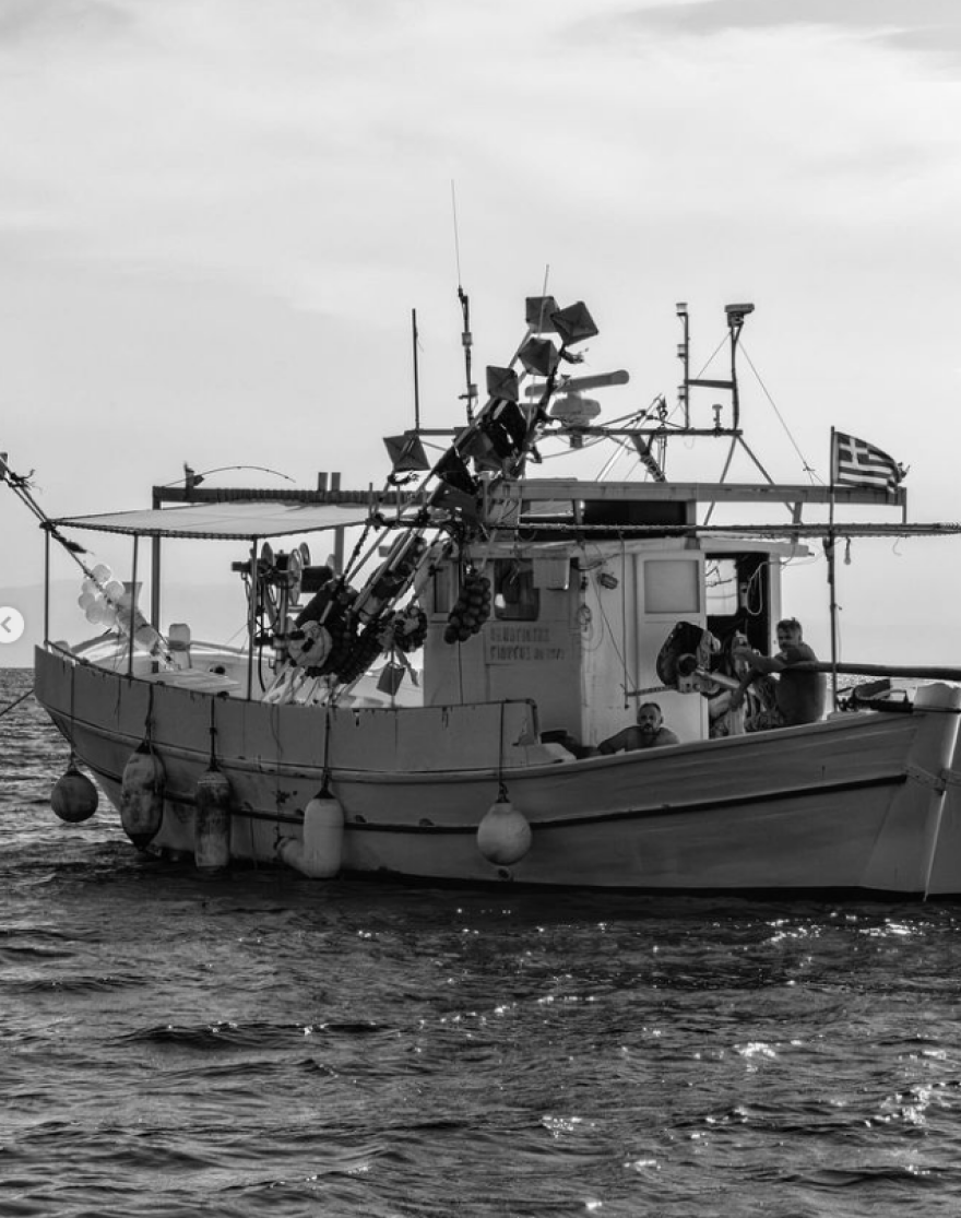 Νίκος Αλιάγας: Φωτογραφίζεται ανάμεσα σε κλαδιά ελιάς στη Χαλκιδική