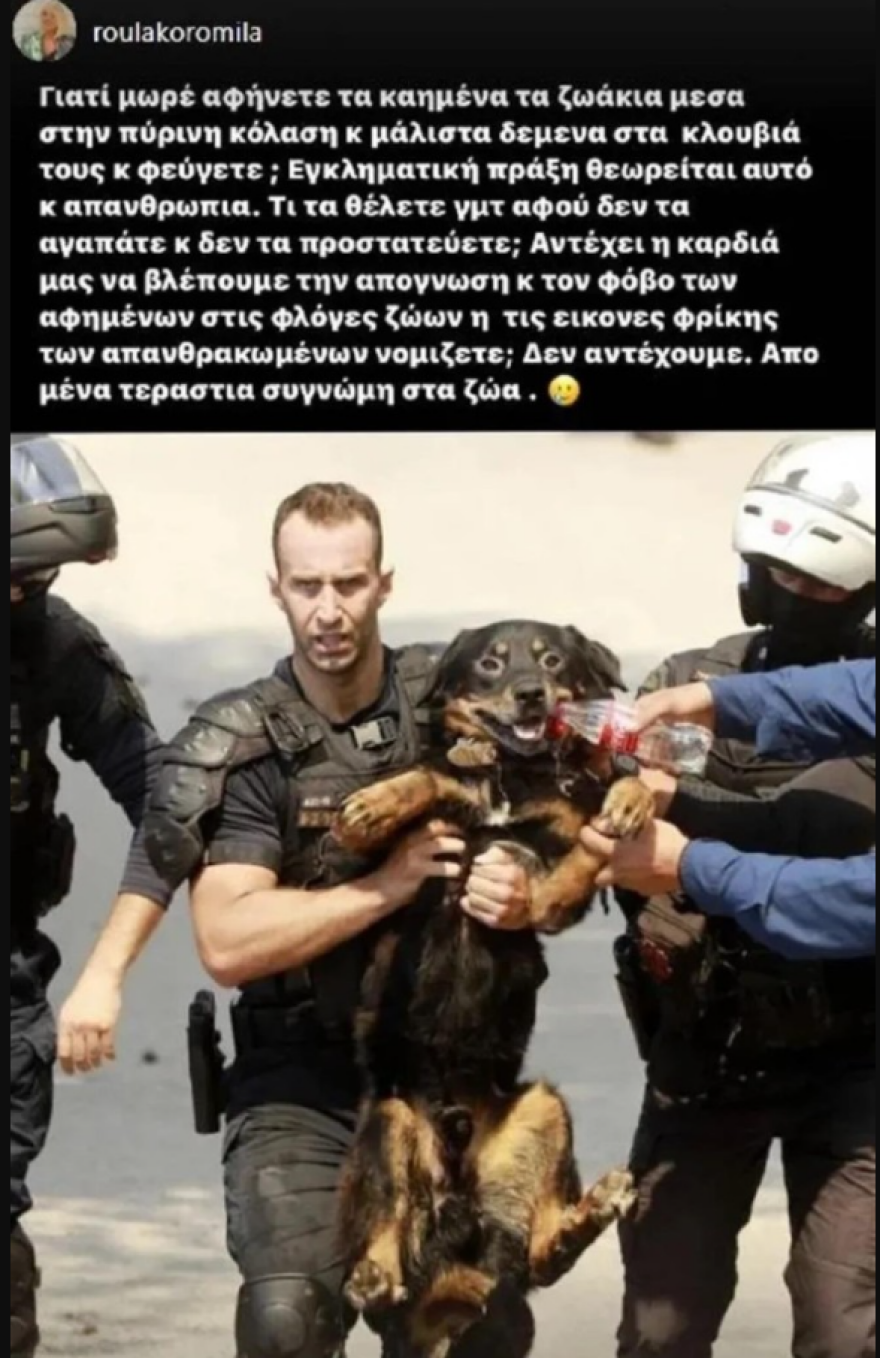 Ρούλα Κορομηλά για τα ζώα που εγκαταλείφθηκαν στις πυρκαγιές: Εγκληματική πράξη και απανθρωπιά