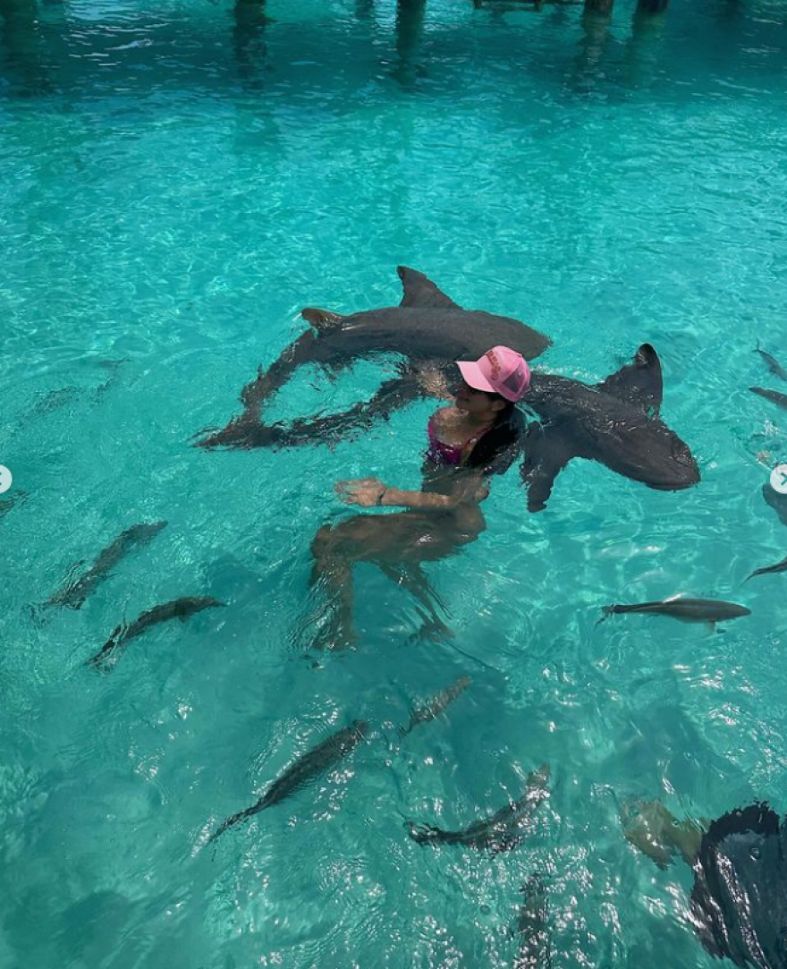 Στέισι Καρανικολάου: Κολυμπάει ανάμεσα σε καρχαρίες και οι ακόλουθοί της αντιδρούν