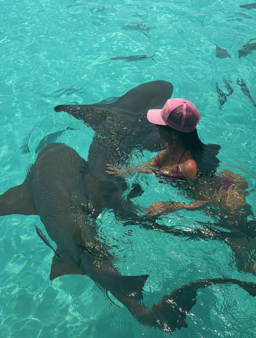 Στέισι Καρανικολάου: Κολυμπάει ανάμεσα σε καρχαρίες και οι ακόλουθοί της αντιδρούν