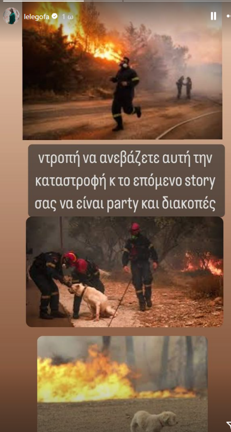 Λελέ Γκόφα: Ντροπή να ανεβάζετε story την καταστροφή και μετά πάρτι και διακοπές