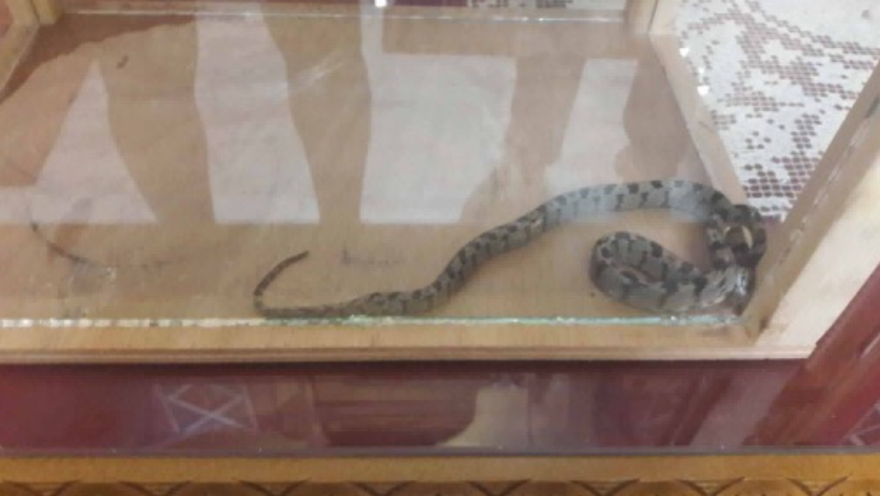 Ο εορτασμός του Δεκαπενταύγουστου στην Ελλάδα - Βίντεο και φωτογραφίες 