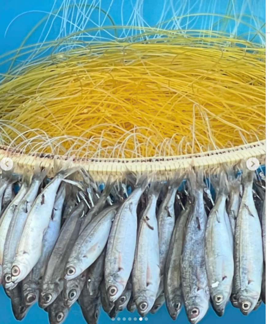 Άλκηστις Πρωτοψάλτη: Η χιουμοριστική ανάρτηση με κατσίκα στην Κρήτη