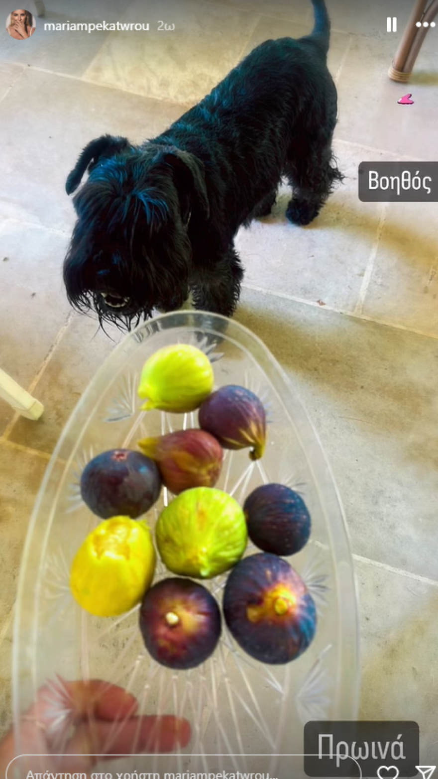 Μαρία Μπεκατώρου: Συνεχίζει τις διακοπές και ποζάρει με το καφέ μαγιό της στον φακό