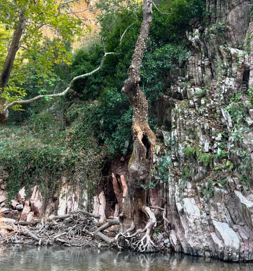 Ζέτα Δούκα: Παίζει με τα κύματα στο νέο βίντεο που δημοσίευσε