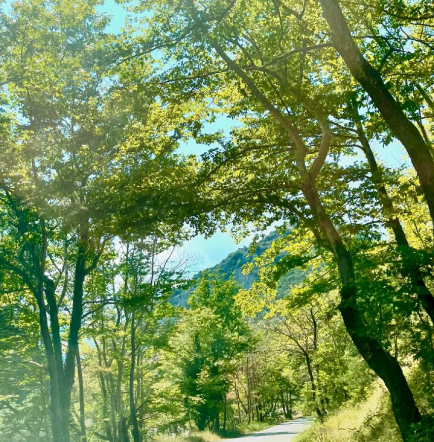 Ζέτα Δούκα: Παίζει με τα κύματα στο νέο βίντεο που δημοσίευσε