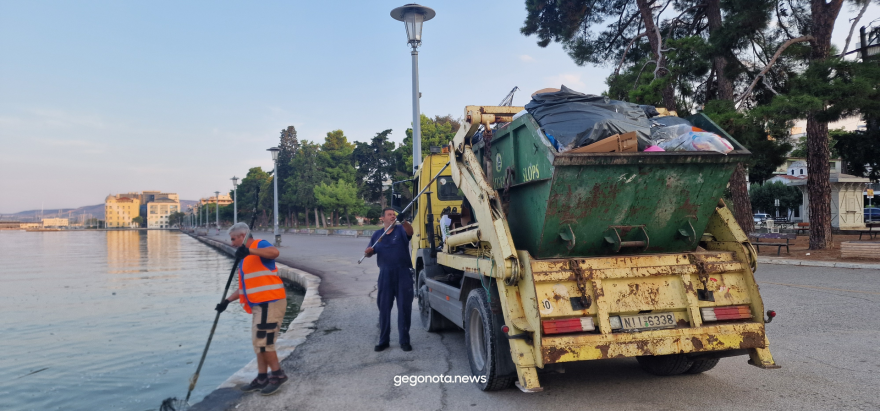 Με την απόχη μαζεύουν τα νεκρά ψάρια από το λιμάνι του Βόλου - Δείτε βίντεο και φωτογραφίες