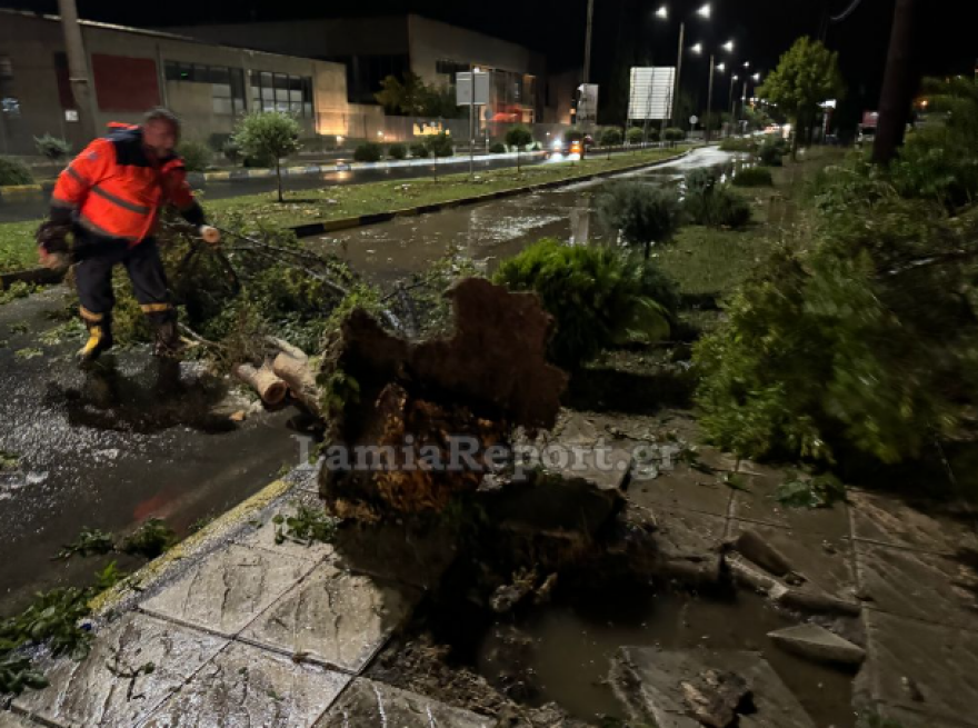 Κακοκαιρία στη Λαμία: Δέντρα ξεριζώθηκαν και έσπασαν μνήματα - Βίντεο και φωτογραφίες