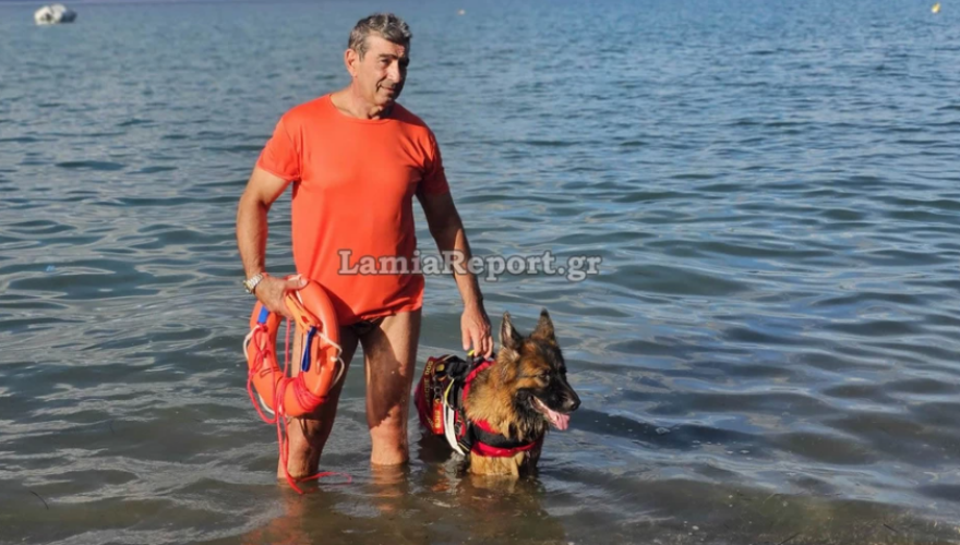 Σκύλος-ναυαγοσώστης έσωσε από πνιγμό ηλικιωμένο στα Καμένα Βούρλα - Δείτε βίντεο και φωτογραφίες 