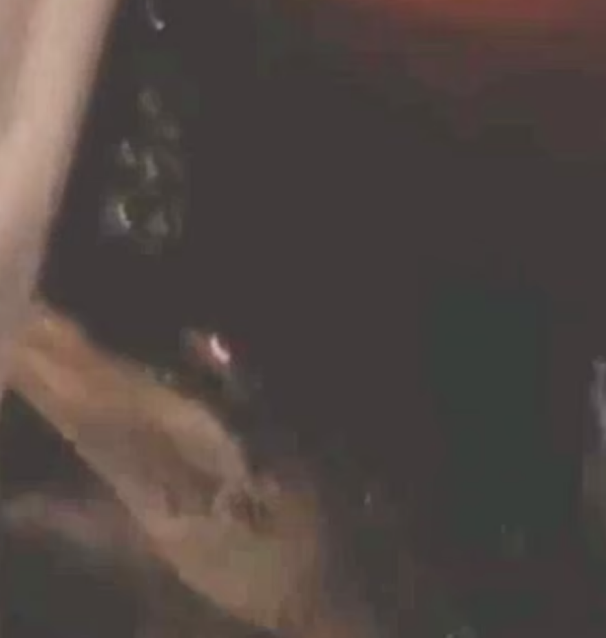 ΗΠΑ - Φλόριντα: Αλιγάτορες βγήκαν στους δρόμους μετά τις σφοδρές πλημμύρες - Δείτε βίντεο 