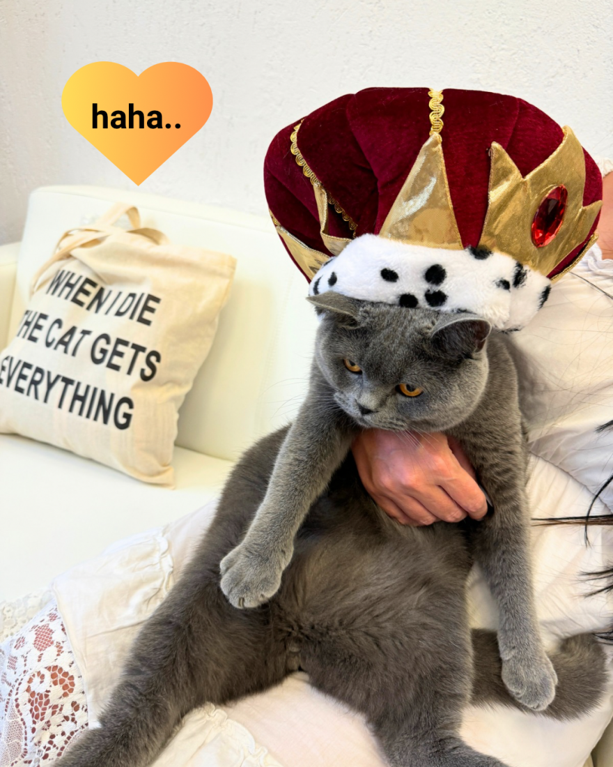 Θεσσαλονίκη: Ο πρώτος... influencer γάτος στην Ελλάδα είναι από τη Νεάπολη και σαρώνει στα social media