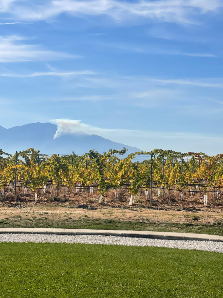 Ενημέρωση Κικίλια για τη φωτιά στο Παγγαίο Όρος - Καίει ξερα κλαδιά και φύλλα