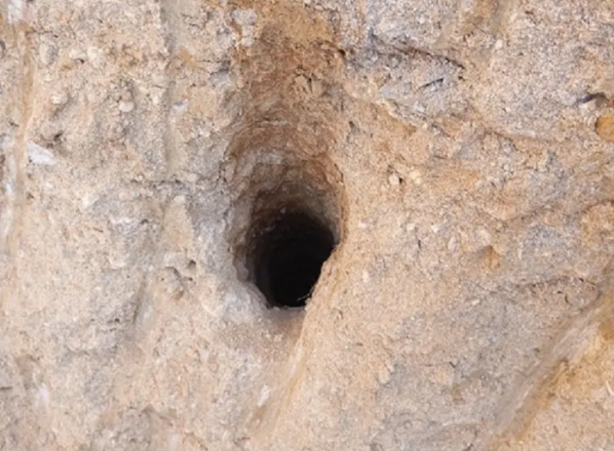 Θεσσαλονίκη: Αρχαιοκάπηλοι στο Ωραιόκαστρο έσκαβαν τρύπες βάθους 10 μέτρων - Τέσσερις συλλήψεις