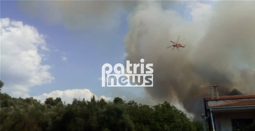 FWTIAsd1  Φωτιά στην Αμαλιάδα: Εκκενώνεται το χωριό Δαφνιώτισσα FWTIAsd1