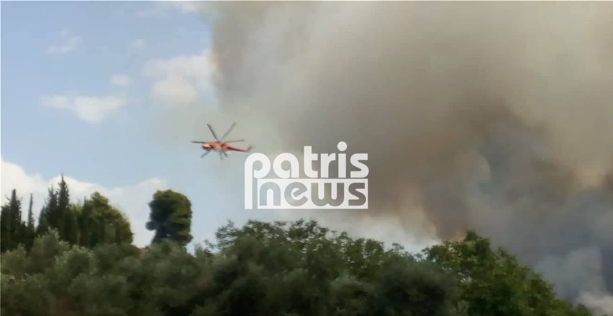 FWTIAsd2  Φωτιά στην Αμαλιάδα: Εκκενώνεται το χωριό Δαφνιώτισσα FWTIAsd2
