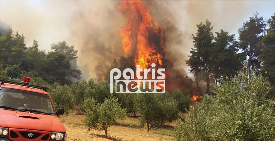 FWTIAsd4  Φωτιά στην Αμαλιάδα: Εκκενώνεται το χωριό Δαφνιώτισσα FWTIAsd4