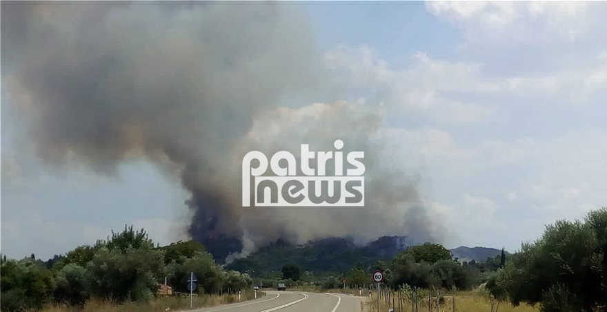 FWTIAsd5  Φωτιά στην Αμαλιάδα: Εκκενώνεται το χωριό Δαφνιώτισσα FWTIAsd5