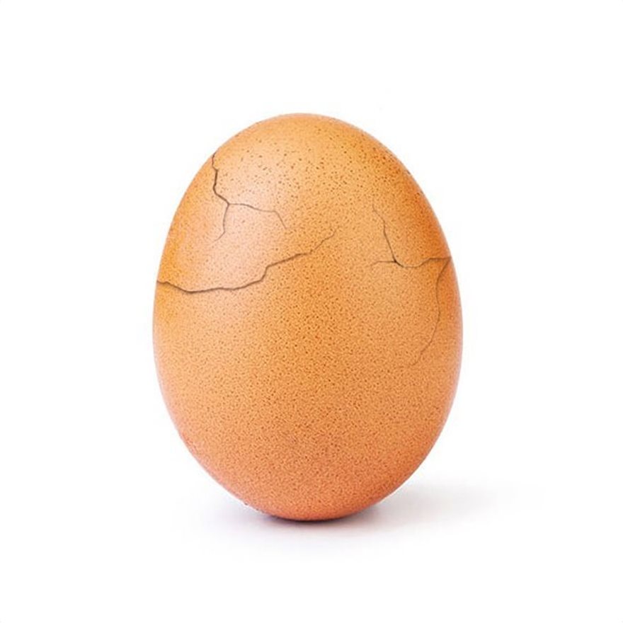 egg2