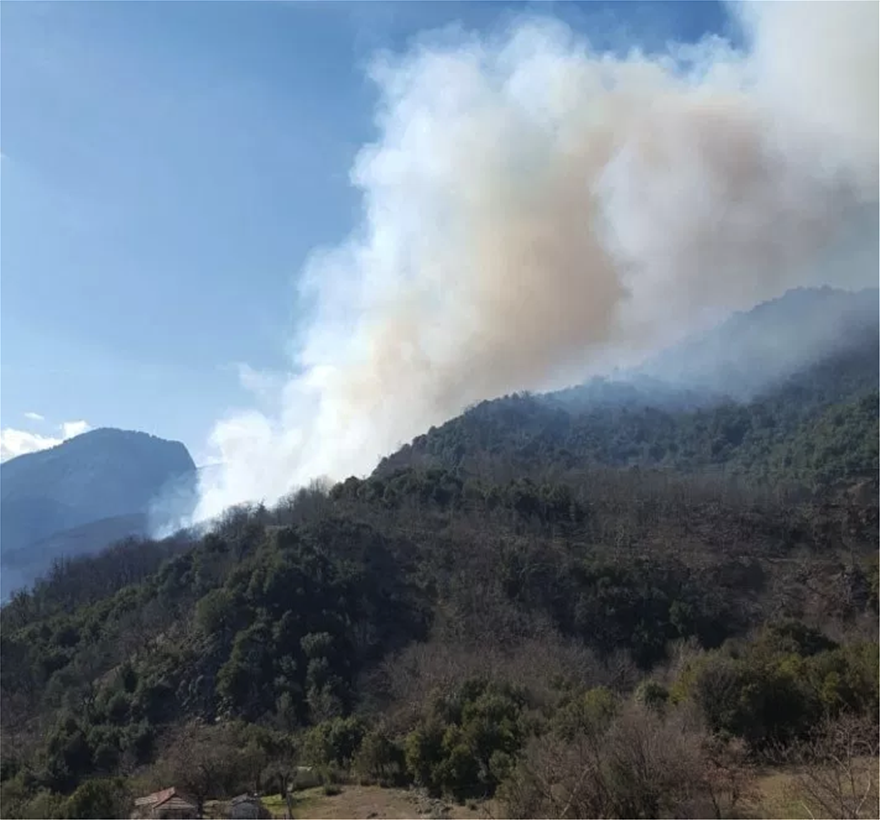 Μεγάλη φωτιά κοντά στην Ελάτη Τρικάλων Trikala1