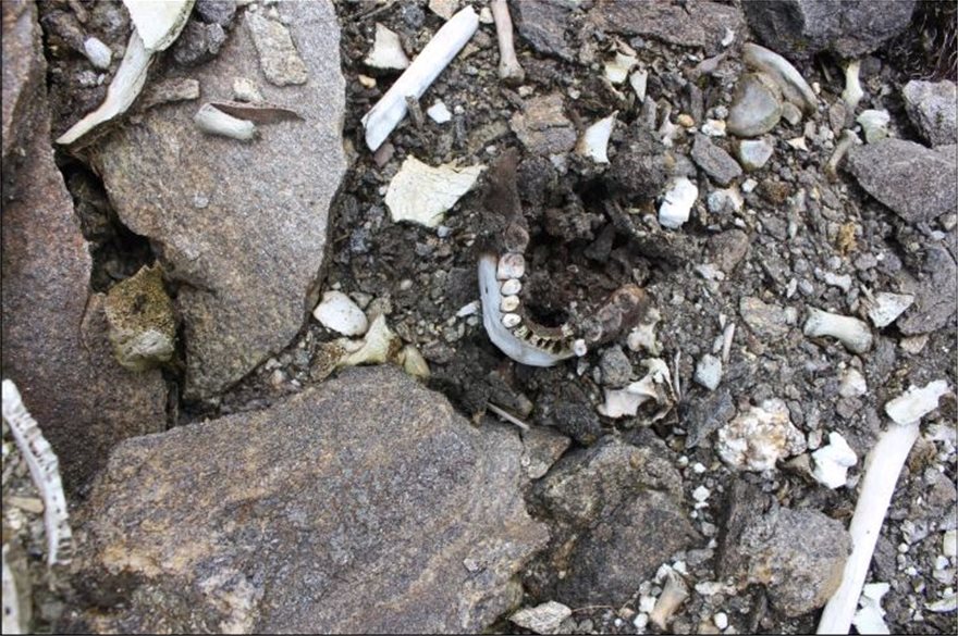 Βρήκαν «Έλληνες» στην Λίμνη των Σκελετών στα Ιμαλάια  
