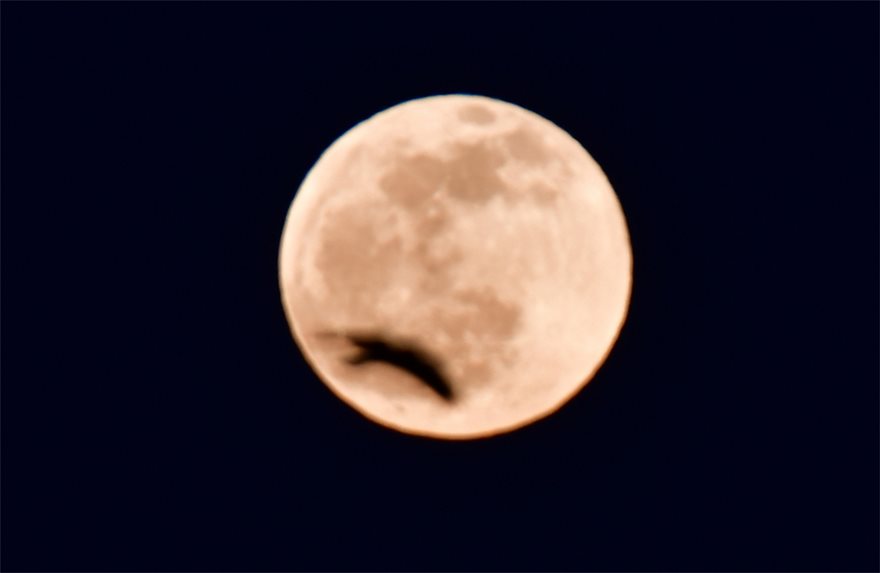 moon_1