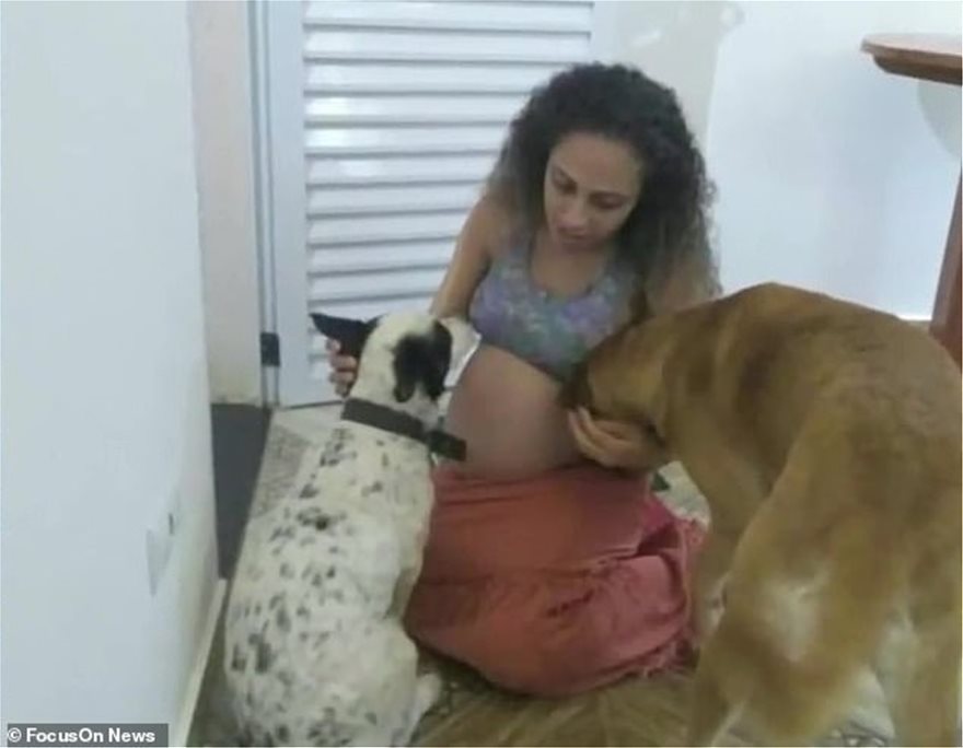 , Φρίκη στη Βραζιλία: Σκυλιά κατασπάραξαν νεογέννητα δίδυμα