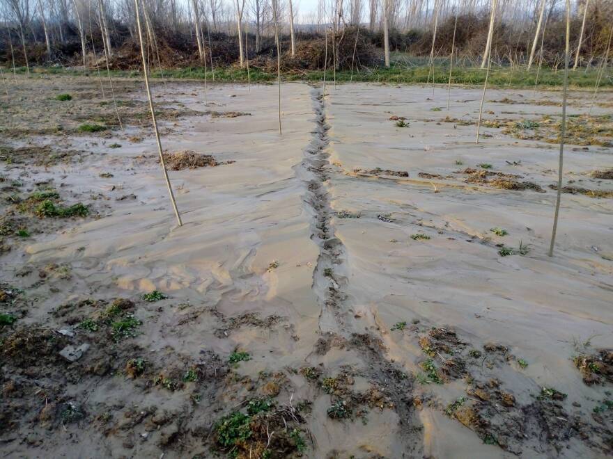 Ground_fluidization_in_a_earthquake_area