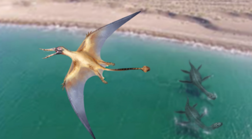 pterosaur.png