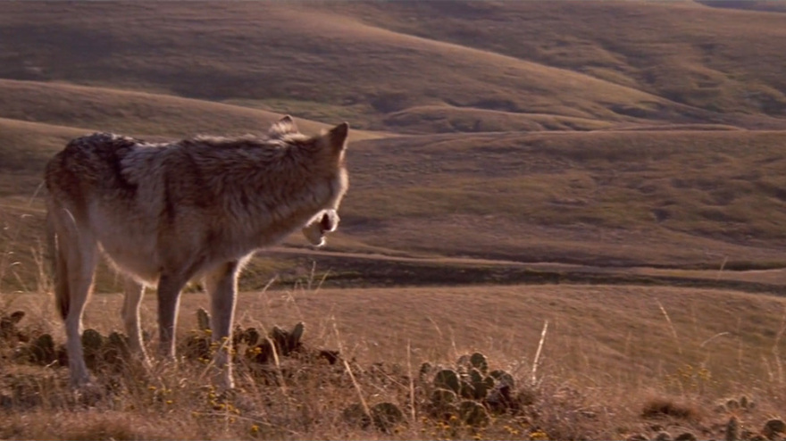 ATLAS-OF-PLACES-KEVIN-COSTNER-DANCES-WITH-WOLVES-IMG-7
