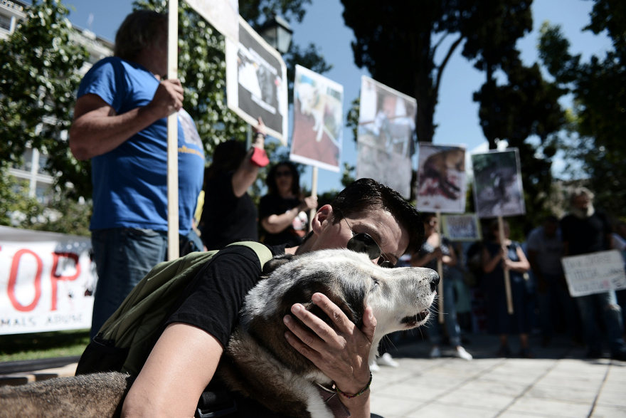 filozooi-syntagma__14_